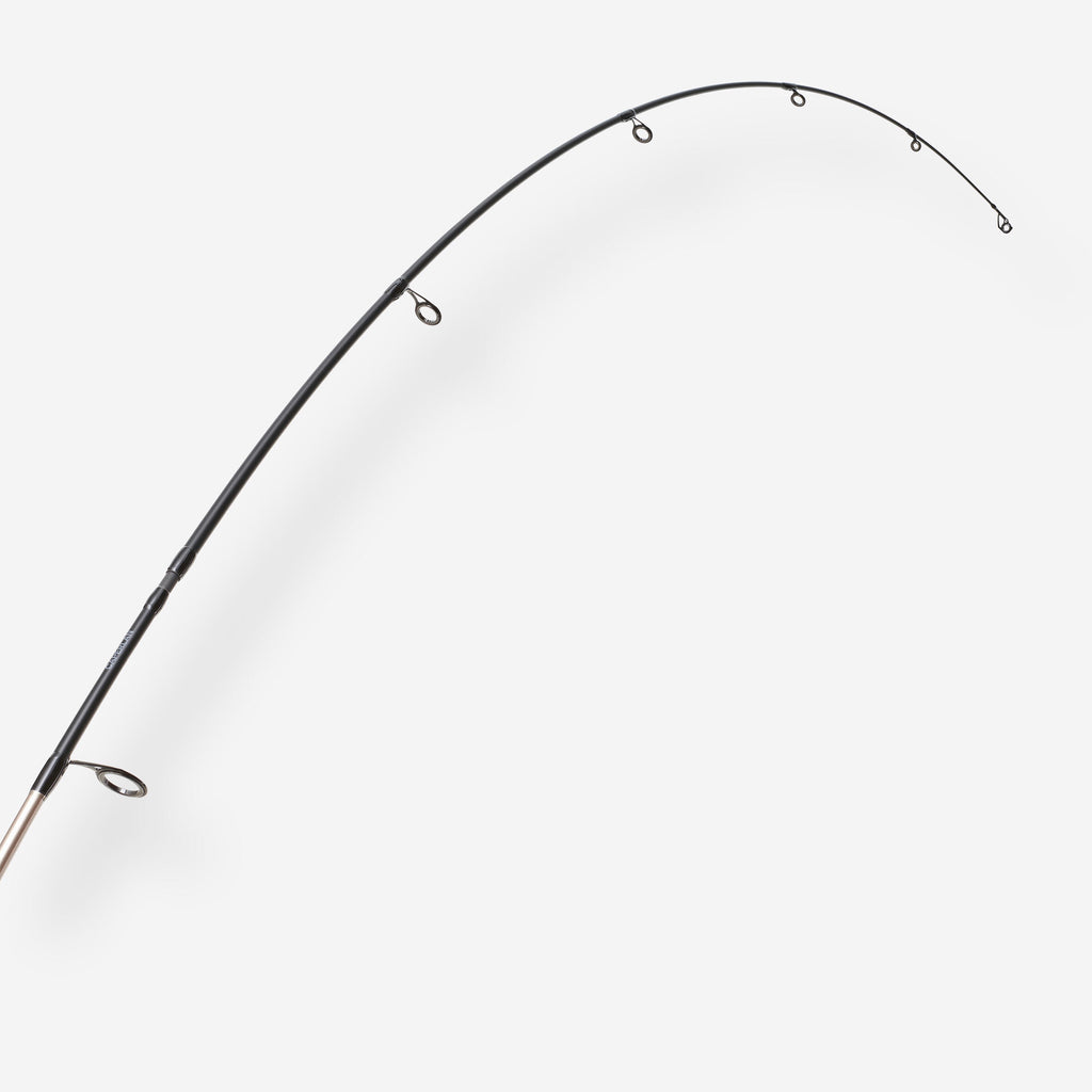 





p3082440