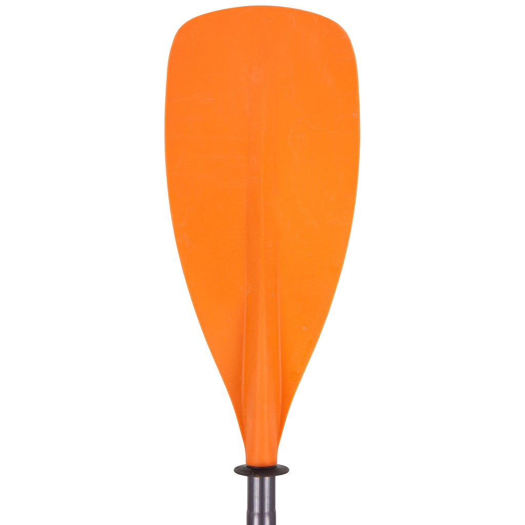 





p1636987