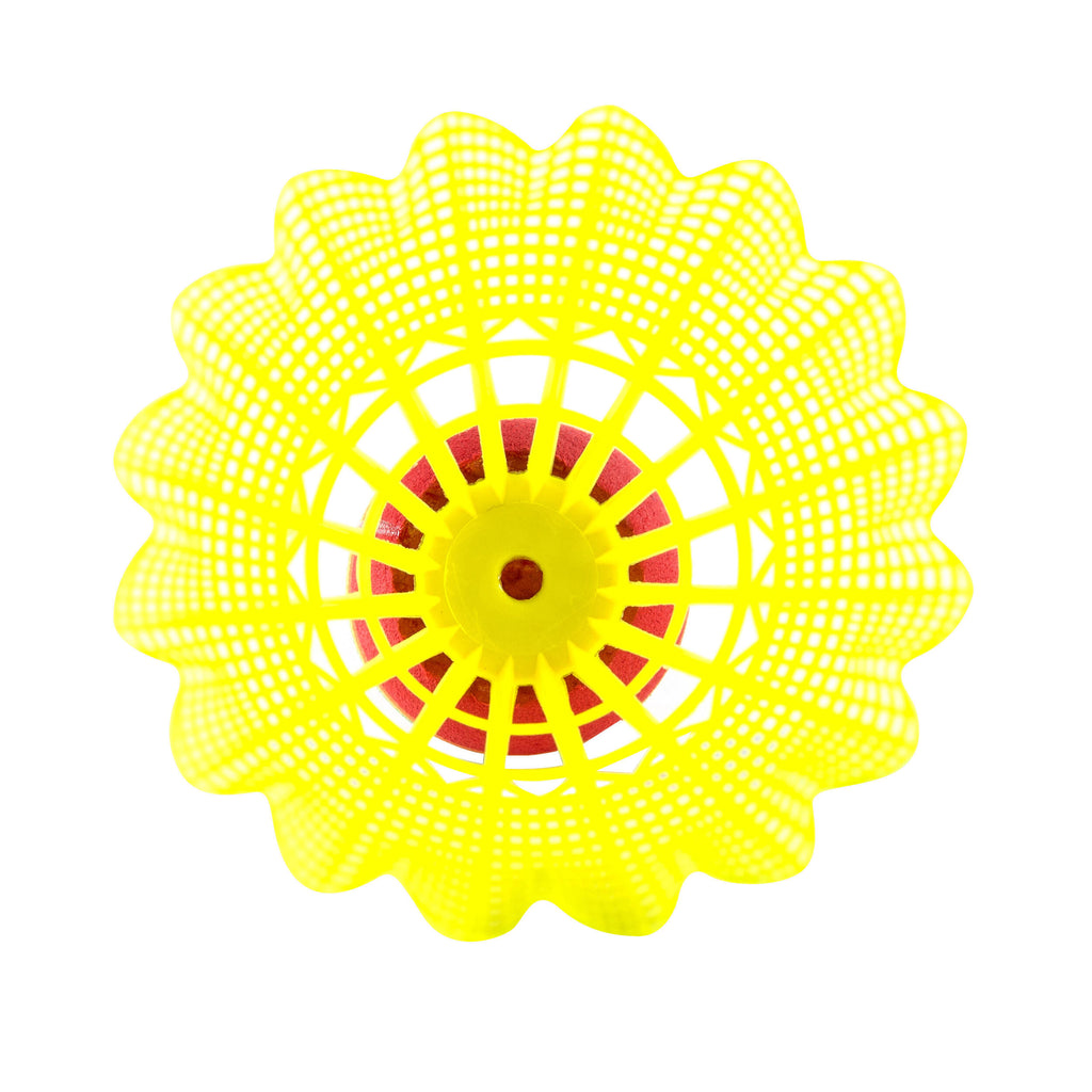 





p1588534