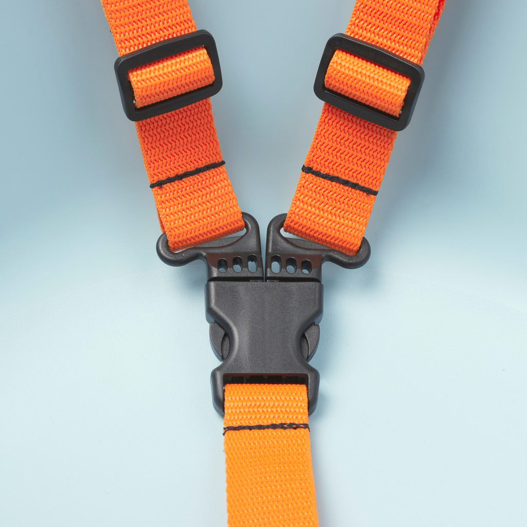 





p1883852