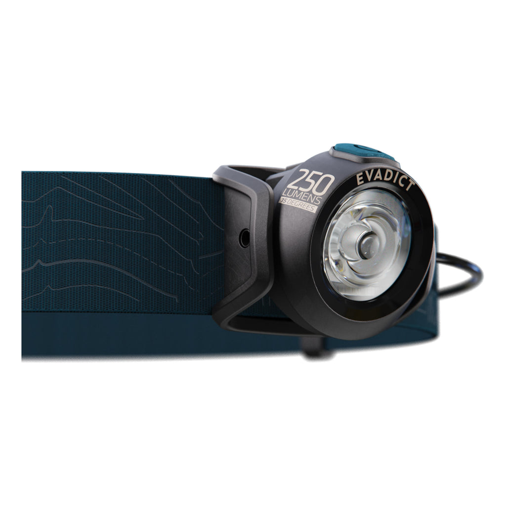 





p2019117