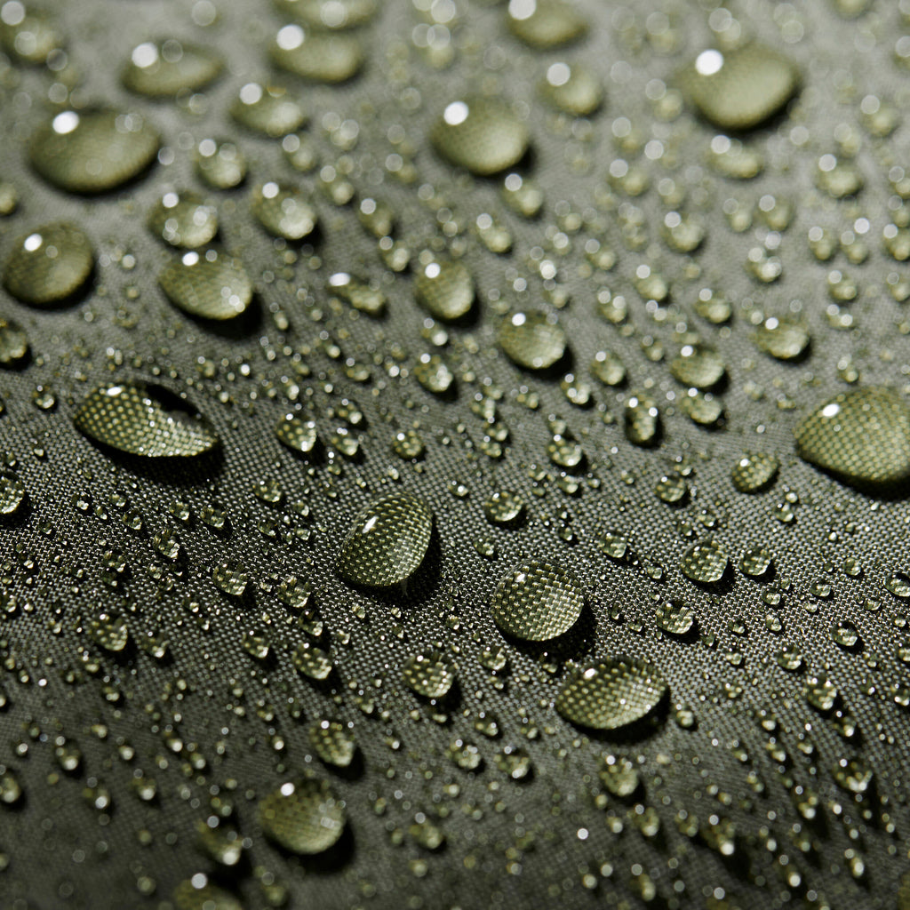 





p2815590