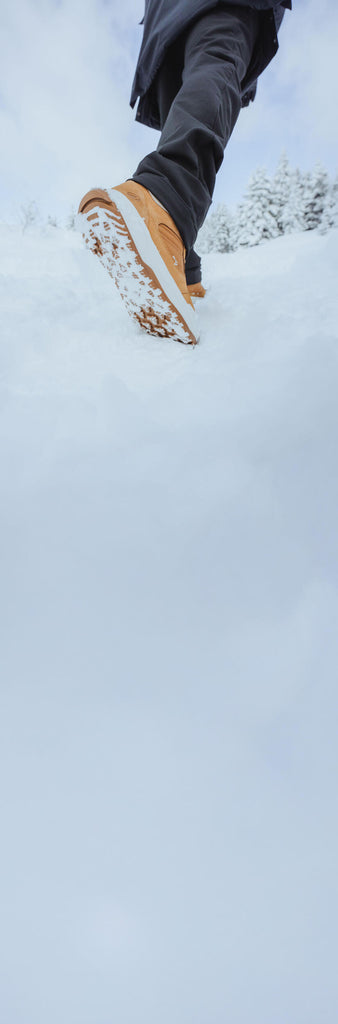 





p2975827