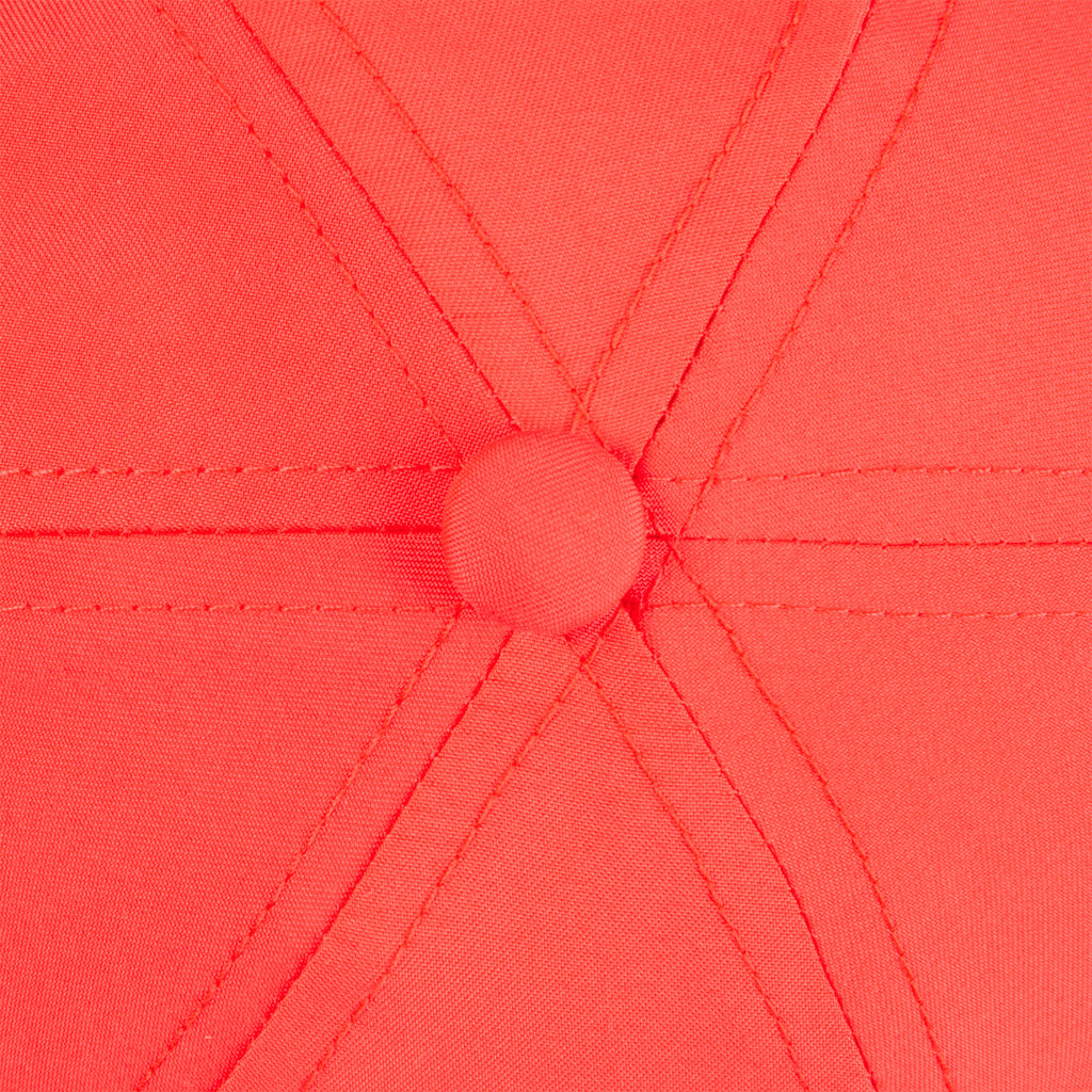 





p1557953