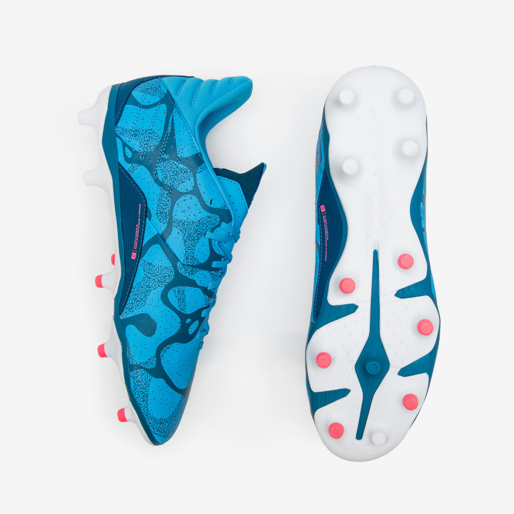 





p2583376