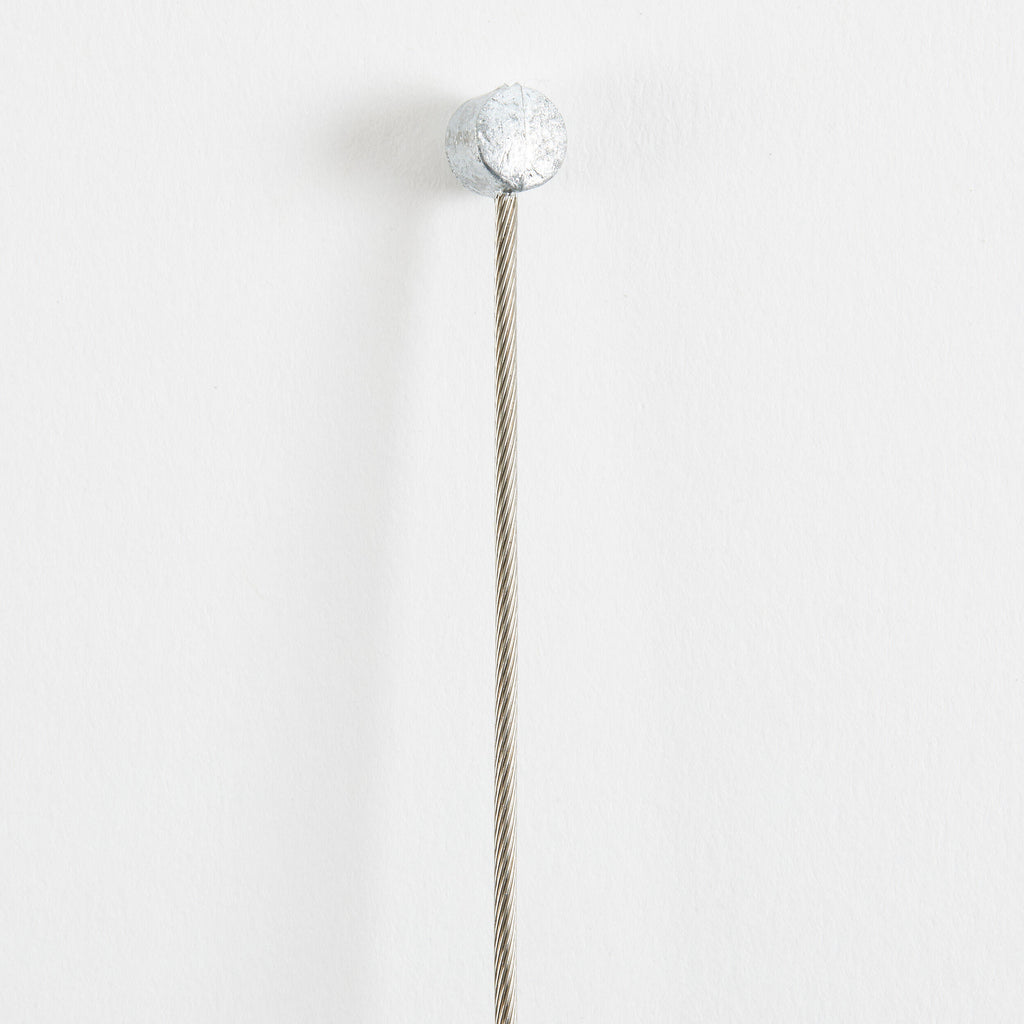 





p2605504