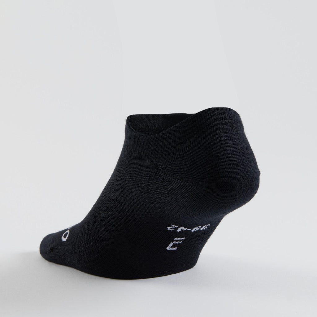 





p2483999