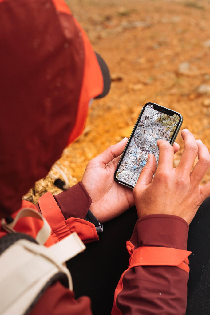 





p2439758