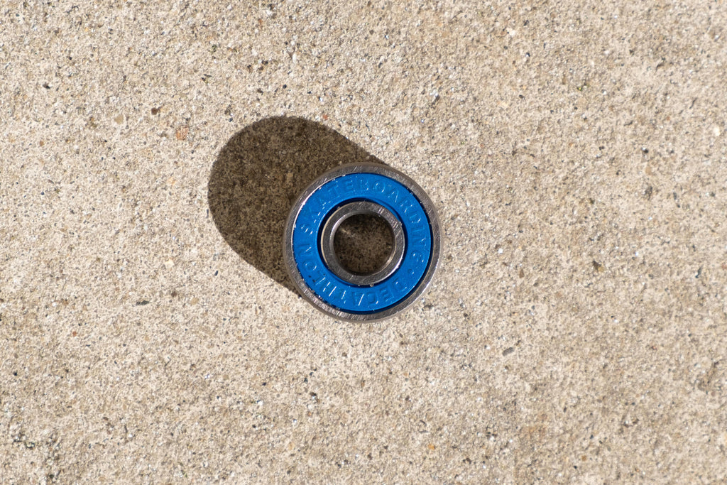 





p2029504