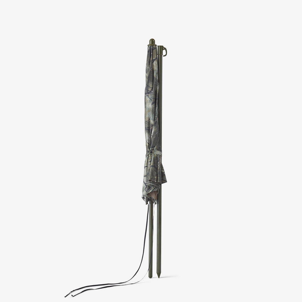





p2675518