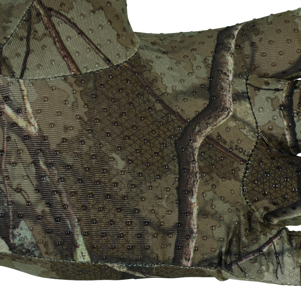





p2178212