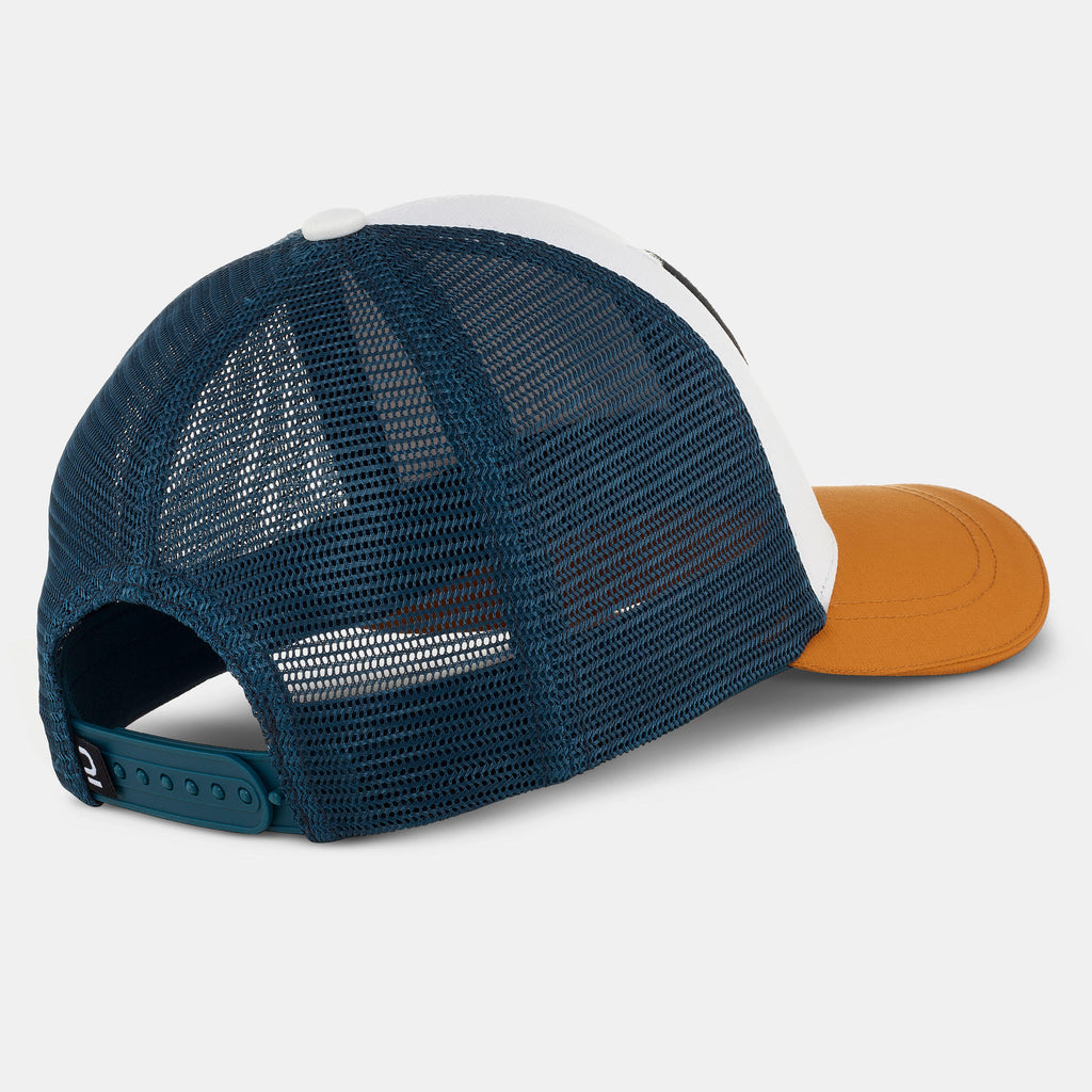 





p2135810