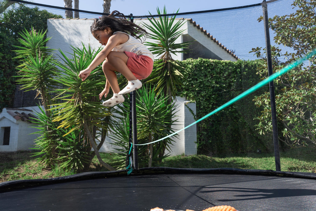 





p2620342