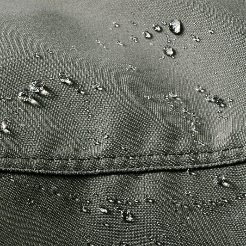 





p2941463