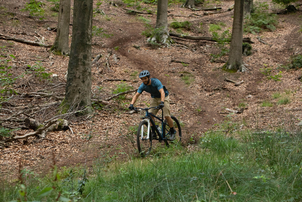 





p2376960