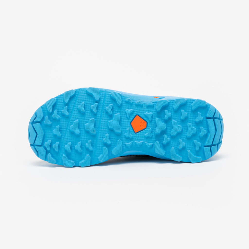 





p2939336