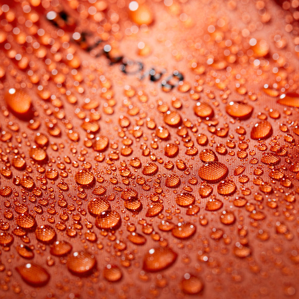 





p2815583