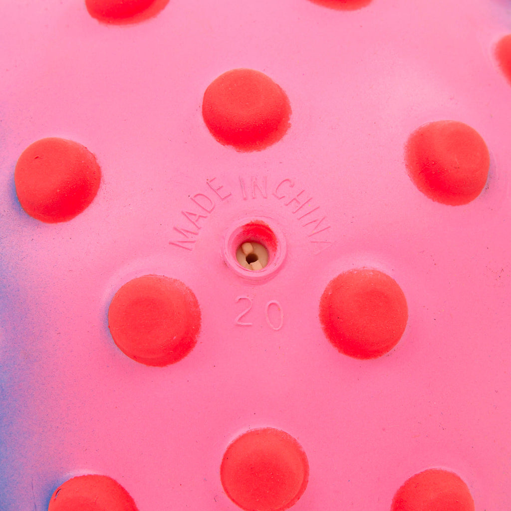 





p1558908